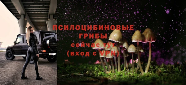 кристаллы Белокуриха